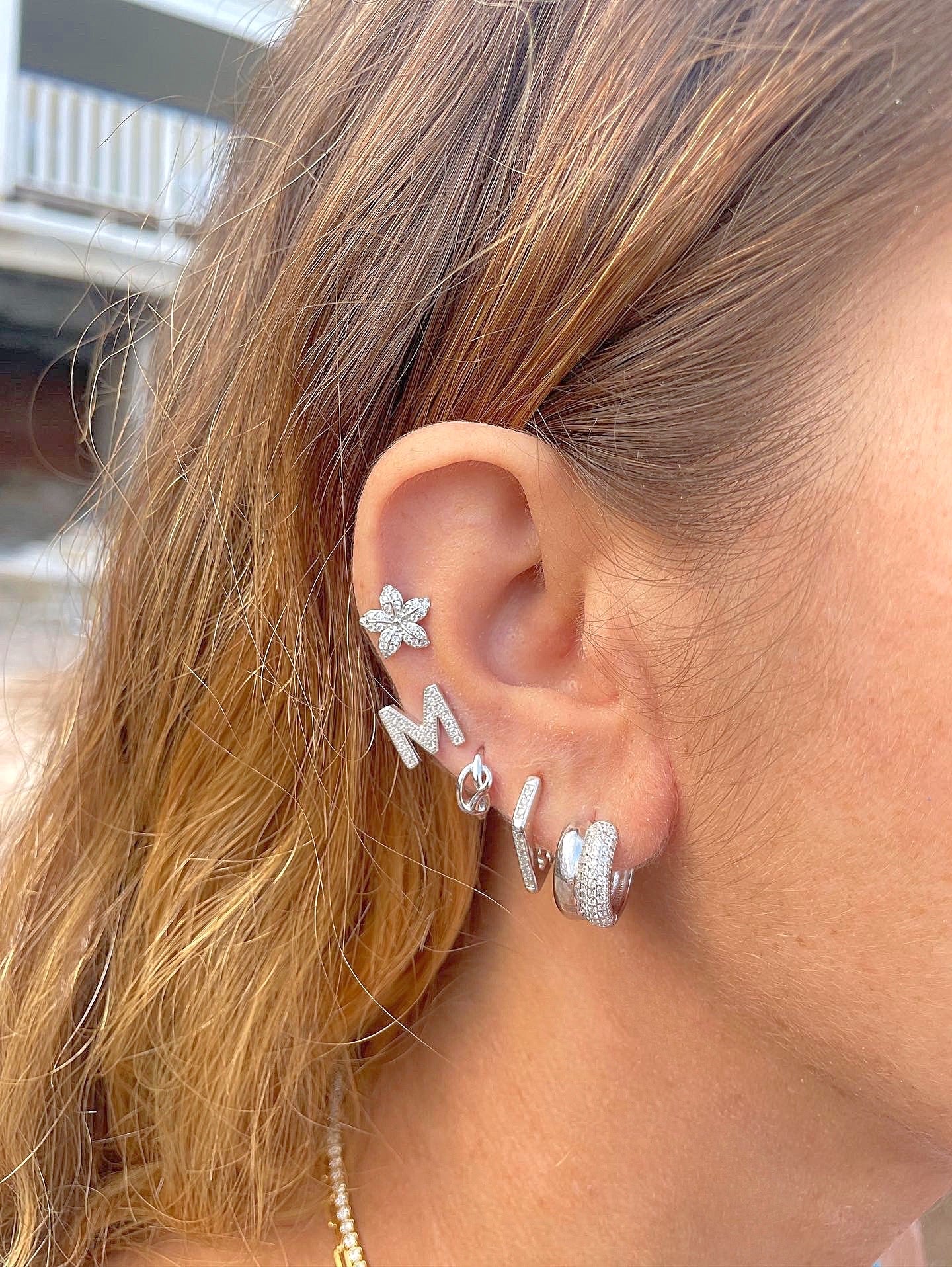 Lady bugs earrings